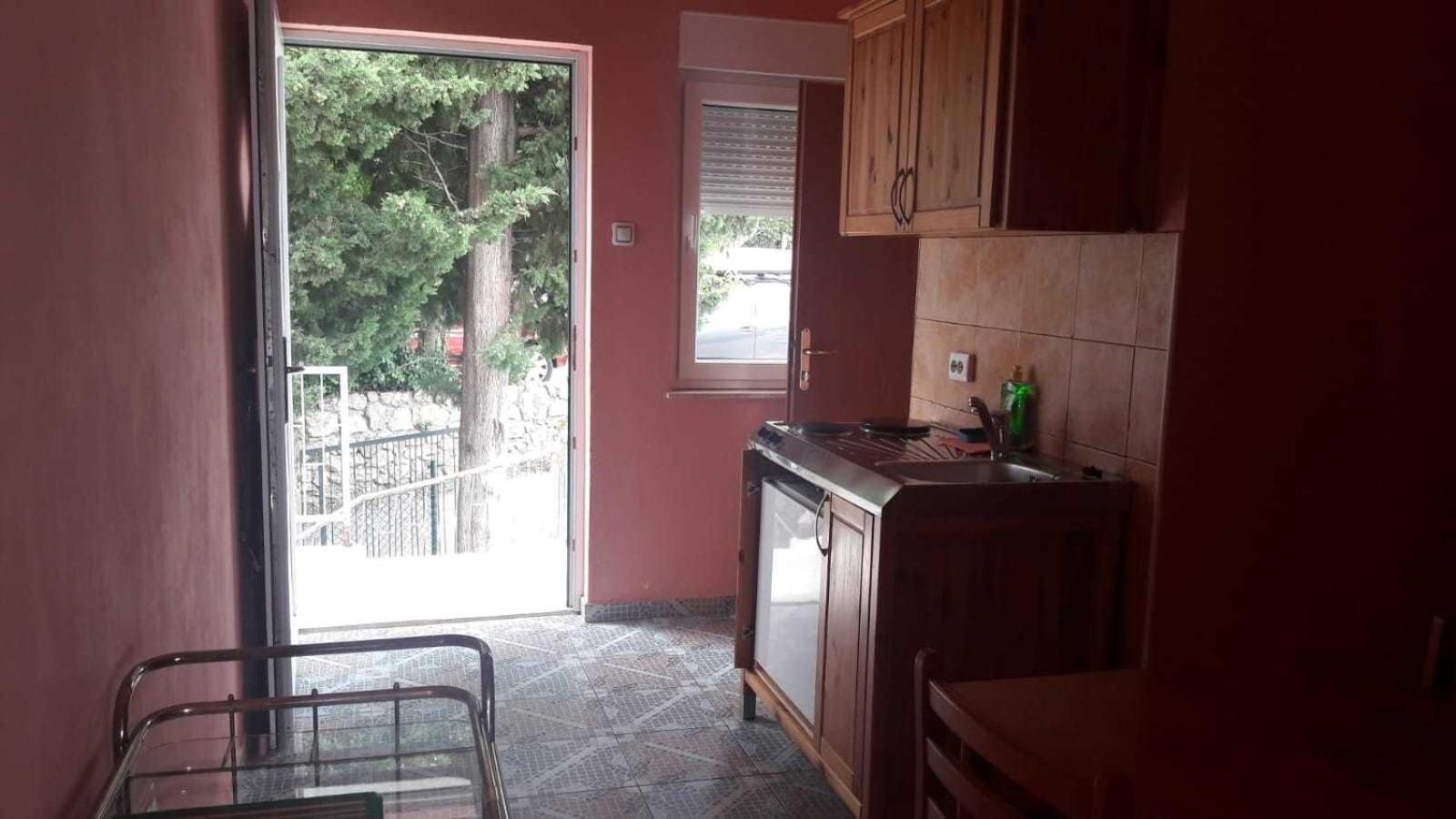 Apartments Dubravko 马斯莱尼察 外观 照片