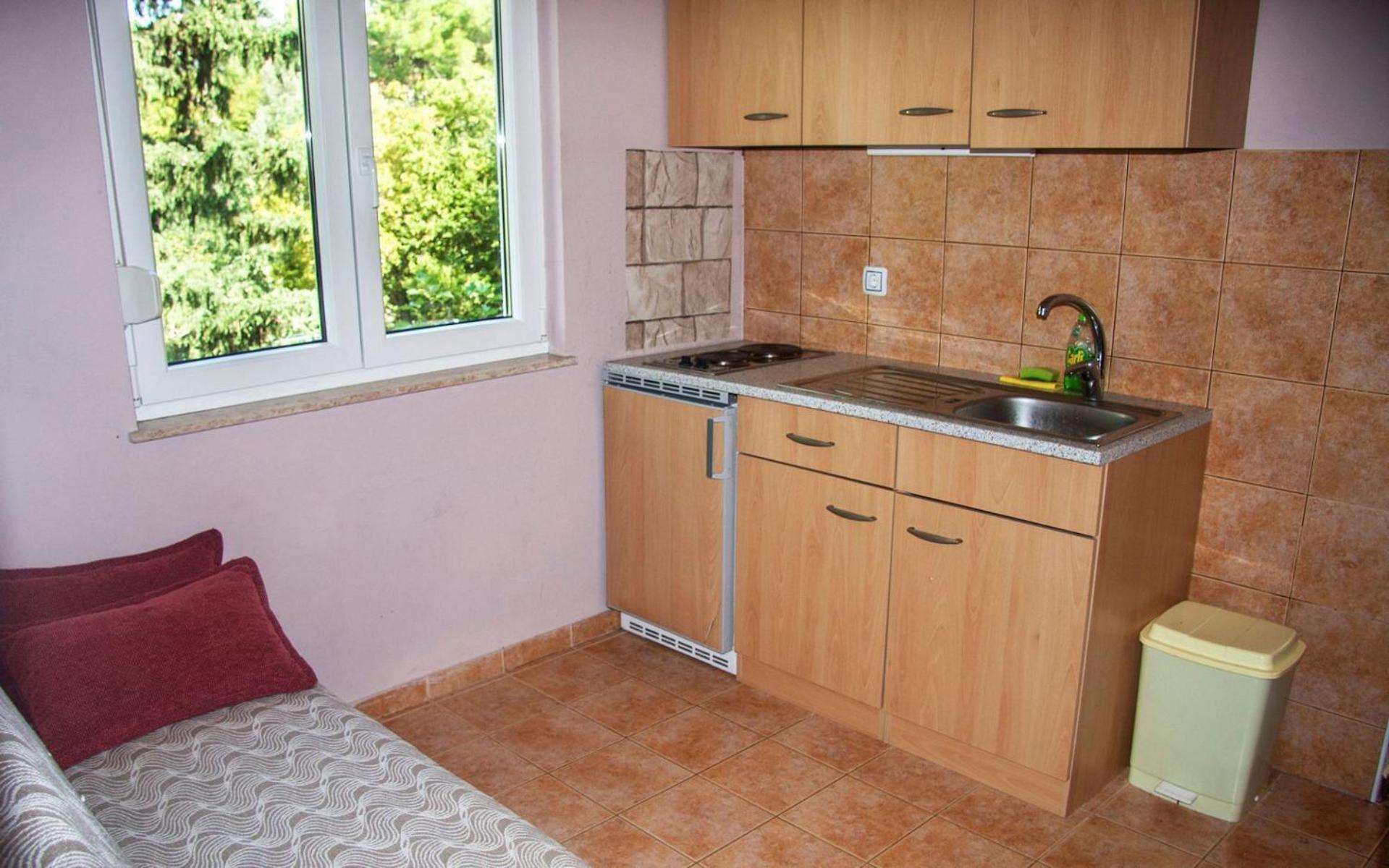 Apartments Dubravko 马斯莱尼察 外观 照片